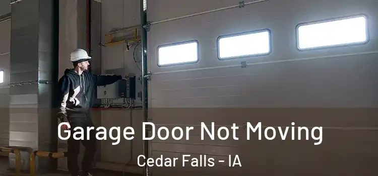  Garage Door Not Moving Cedar Falls - IA
