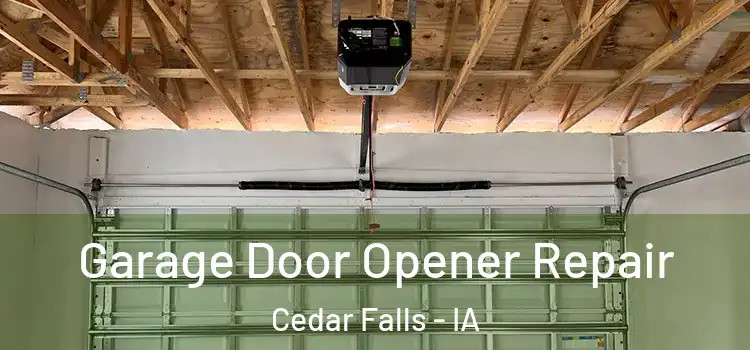  Garage Door Opener Repair Cedar Falls - IA