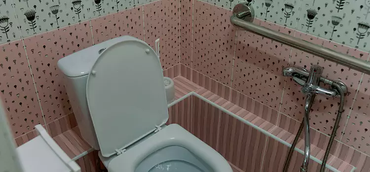 Meeting Diverse Needs With Accessible Restroom Solutions in Cedar Falls, IA