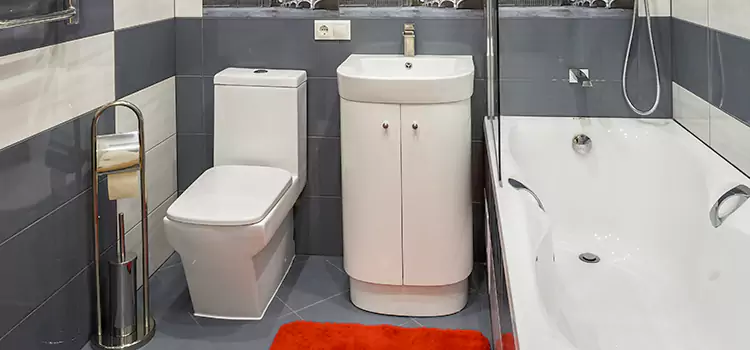 Hansgrohe Shaving Mirror Cedar Falls