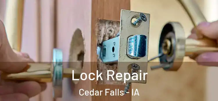  Lock Repair Cedar Falls - IA