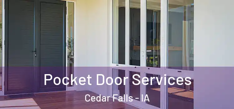  Pocket Door Services Cedar Falls - IA