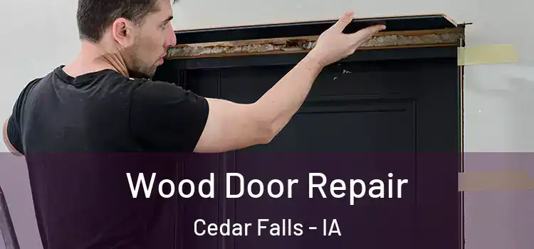 Wood Door Repair Cedar Falls - IA